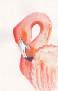 Here is a flamingo by Francesca Albini