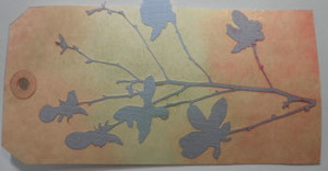 Photo of tag with colored background